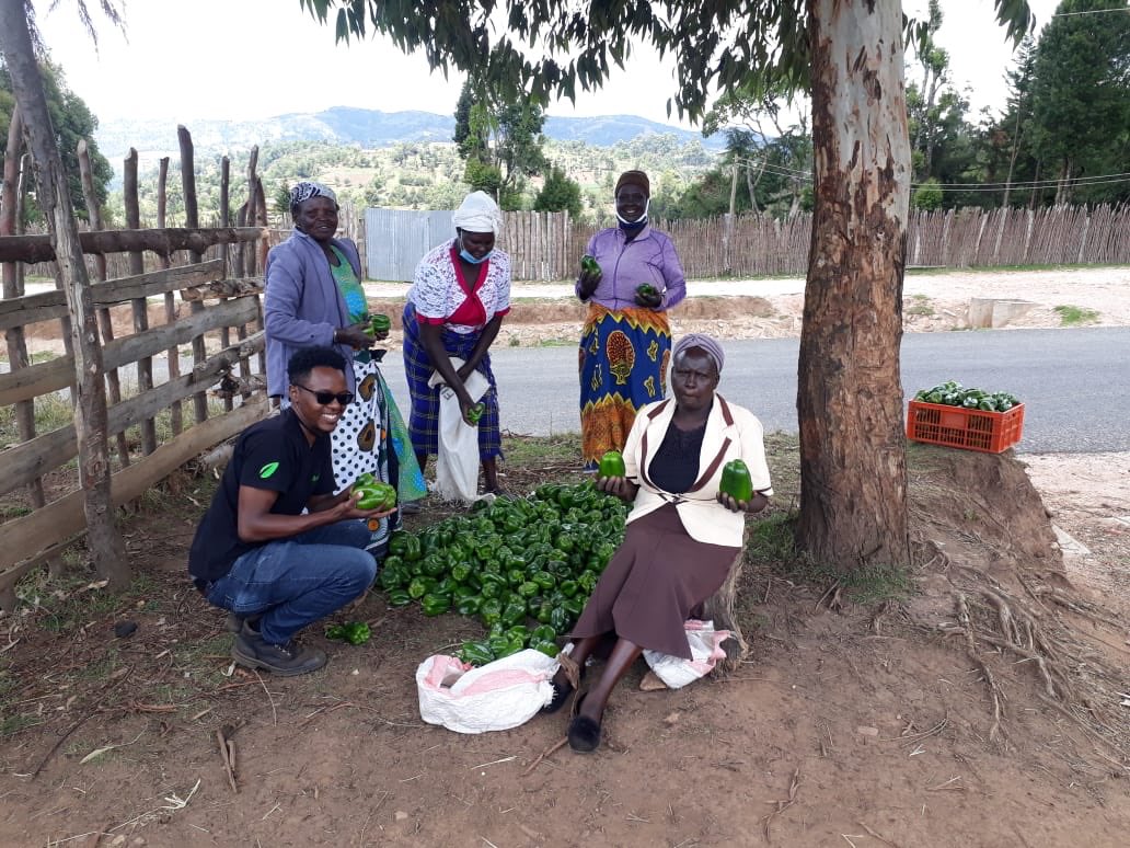 synnefa_KE's tweet photo. In our Friday #FarmSeries, we celebrate all the farmers who have given their all every day to make it possible to feeding the nation. 

You have to flaunt your hard work! We’re proud you as an agriprenuer. #Agri4Value https://t.co/ZWpkLcqPXn