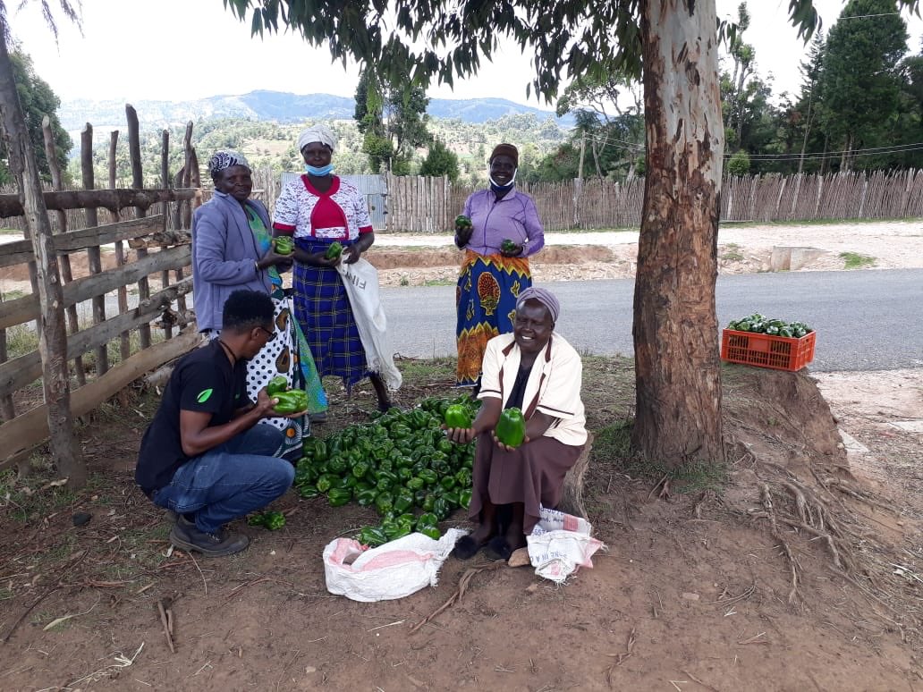 synnefa_KE's tweet photo. In our Friday #FarmSeries, we celebrate all the farmers who have given their all every day to make it possible to feeding the nation. 

You have to flaunt your hard work! We’re proud you as an agriprenuer. #Agri4Value https://t.co/ZWpkLcqPXn