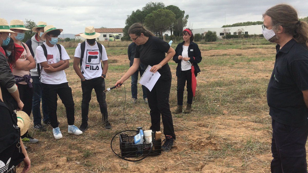INIA_es's tweet photo. Aprendiendo sobre #agricultura de conservación para evitar alterar los #suelos: #rotaciones #diversificación de los cultivos, mínimo #laboreo #INIA_LaCanaleja @CSIC  @TraceSoils @EJPSOIL @GobernaMarta #NocheEuropeaInvestigadores https://t.co/HaUBGDJWnV