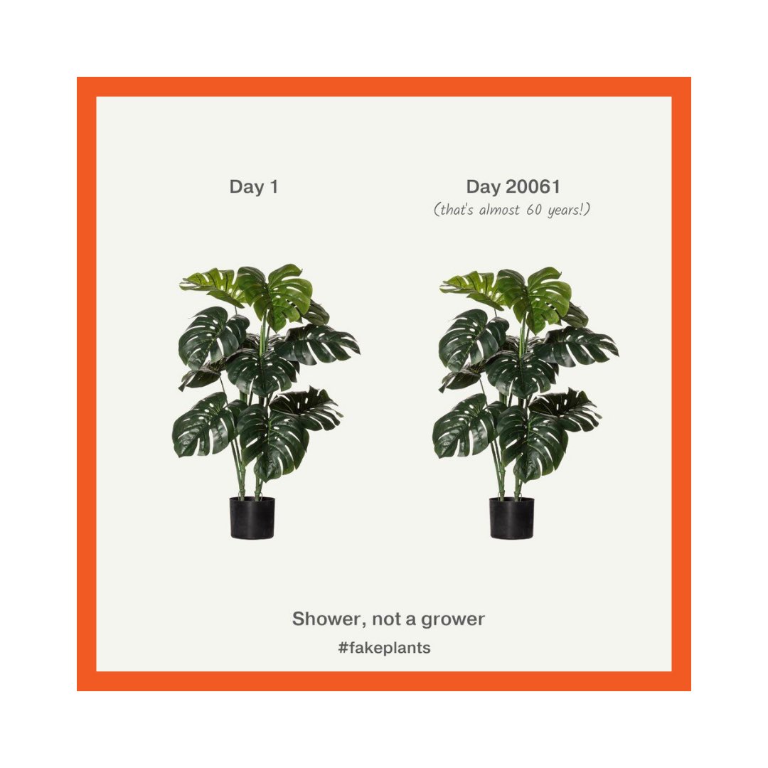 Air Social Marketing Agency tweet media