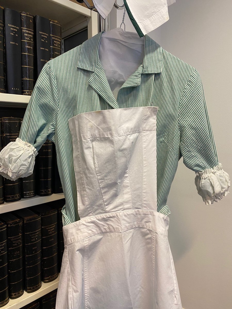 RCVSKnowledge's tweet image. We are delighted to share this trainee VN (or RANA) uniform, held in our historical collection.
We don't know exactly when it was worn, but we think the late 70s/early 80s. If you can help us date it, or if you have photos of other vintage VN uniforms please share! #VetArchives