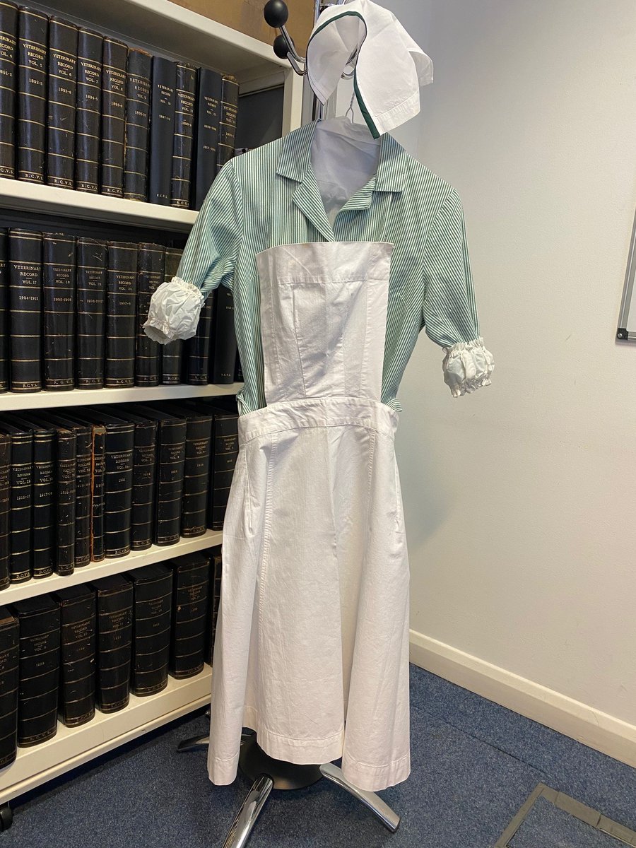 RCVSKnowledge's tweet image. We are delighted to share this trainee VN (or RANA) uniform, held in our historical collection.
We don't know exactly when it was worn, but we think the late 70s/early 80s. If you can help us date it, or if you have photos of other vintage VN uniforms please share! #VetArchives