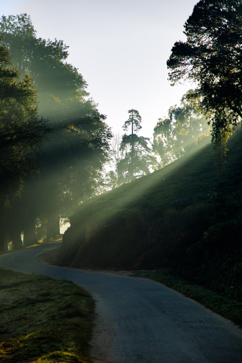 "Wake me up, when september ends." ~ Greenday 
#Music #quote #fridaymood #Kerala #KeralaTourism 

📍 Munnar