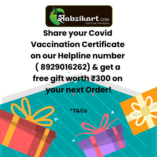 sabzikart's tweet photo. Share ur Covid Vaccination Certificate on our Helpline number ( 8929016262)  get a free gift worth ₹300 on ur next Order! #vegetable #fruitshop  #special #fruit #fruits #fresh #organic #vegetableshop #indianvegetable #indianfruit #leafyvegetable

Book Now https://t.co/nOUHf5U6nA https://t.co/6GLmA7RFOH