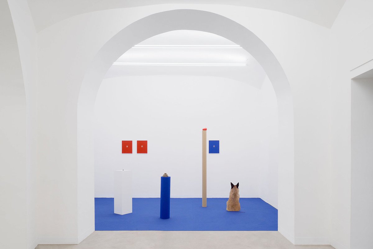 Materia_Gallery's tweet photo. We are pleased to share a first set of installation views from 'Manta ray', our current group show on view at at the gallery
The exhibition features works by #EduardoFonsecaESilva & #FranciscaValador, #HelenaHladilova, #JacopoPagin, #CatherineParsonage and #AmedeoPolazzo https://t.co/ndgzYIikOt