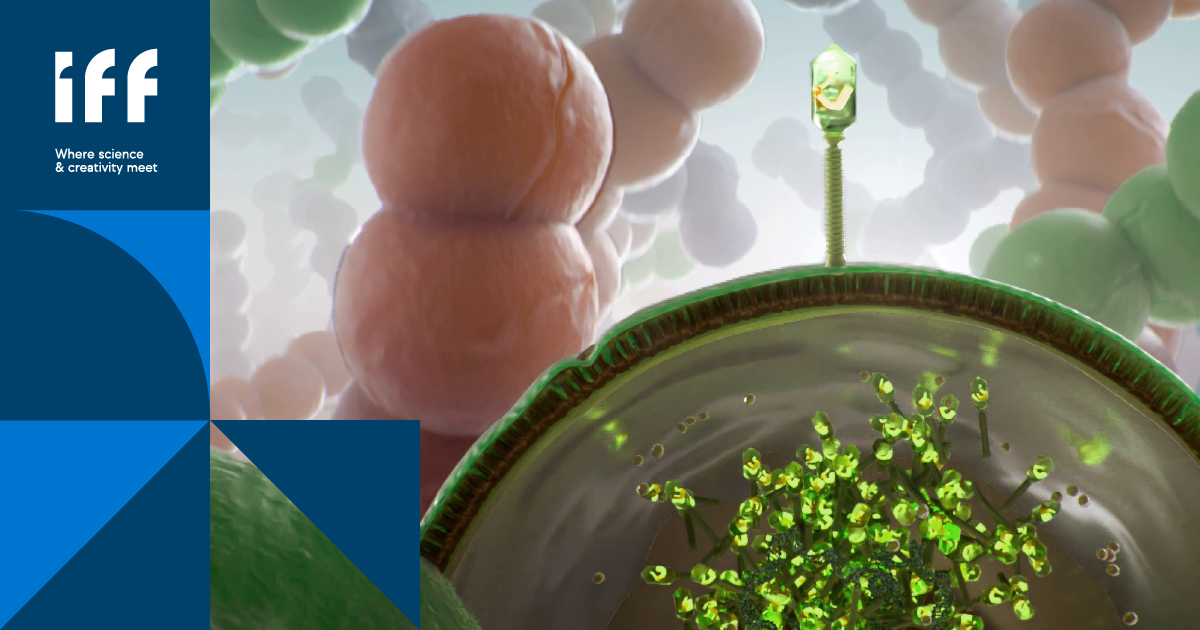 Danisco's tweet photo. What do you think of when you hear “library”? #InsideIFF, we think about our library of phages – one of unparalleled biodiversity. Learn more: https://t.co/qLCQEJAFKA https://t.co/g9m9KFynZ5