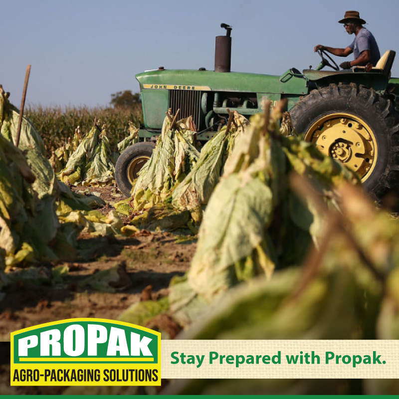 PropakHessian's tweet photo. Stay Prepared with Propak. 

This being the time when farmers carry out Auction floor license application according to the TIMB Calendar. It is very important to always be prepared. Contact us to get your tobacco packaging material in order and in time for the next selling se ... https://t.co/R4kLBiiNrB