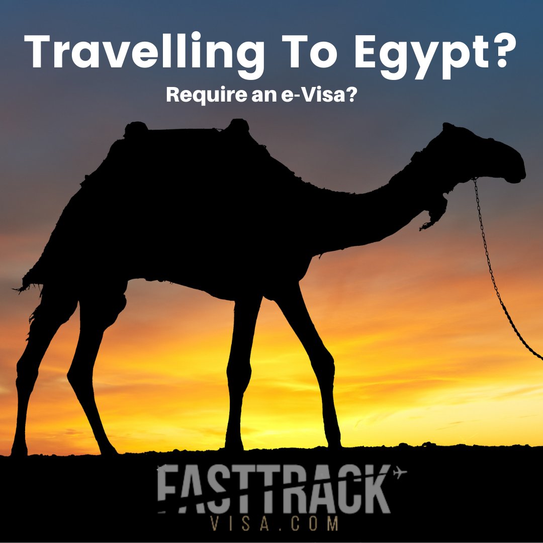 Travelling to Egypt?

Before you go, be sure to check the Visa requirements before you go, including your Health Declaration.

mtr.cool/kofxeygqfh

#egyptvisa #egypt #onlineevisas #travelagain #no1evisacompany #staysafe #number1evisacompany