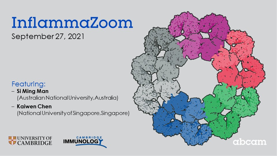 Clare Bryant (clarebryant@bsky.social) (@clarebryant13) on Twitter photo Don't forget Inflammazoom is returning on Monday at 9am GMT with a great line up of speakers: Si Ming Man and <a href="/_kaiwenchen/">Kaiwen Chen</a>......... Don't forget Inflammazoom is returning on Monday at 9am GMT with a great line up of speakers: Si Ming Man and <a href="/_kaiwenchen/">Kaiwen Chen</a>.........