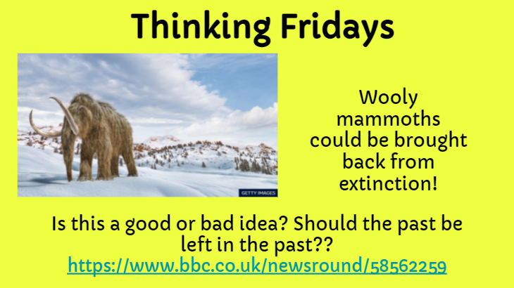 P4C Sandringham tweet media