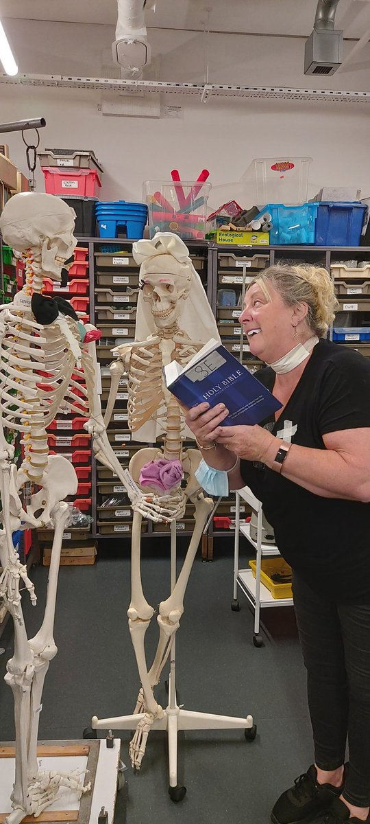 <a href="/Gratnells/">Gratnells</a> <a href="/gratnells/">Gratnells</a> We could use it as a wedding present!