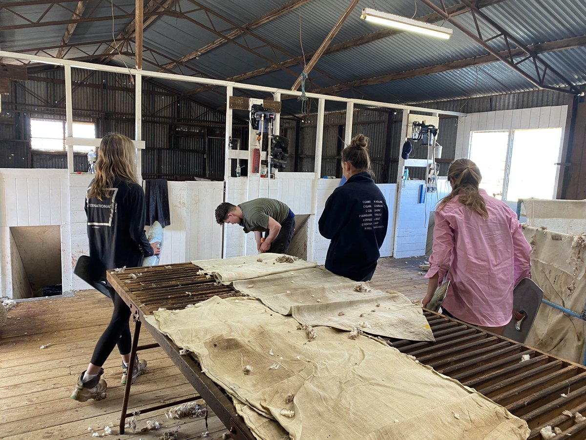 Brett Hosking tweet media