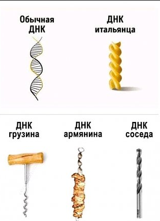 а у тебя какое ДНК😜?