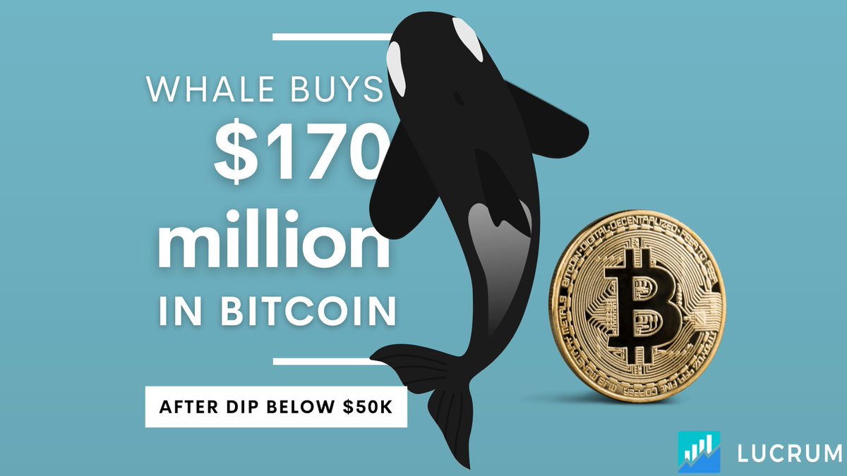 lucrumlive's tweet photo. 🐋A mysterious whale with $4.9 billion worth of BTC recently added another $18 million in Bitcoins to their holdings.

📉The whale is accumulating since price dropped below $52,000, analysts label it "conviction buy."

Are you buying the dip?
@lucrumlive
#Bitcoin #BTC #cryoto https://t.co/9NuEndxkSB