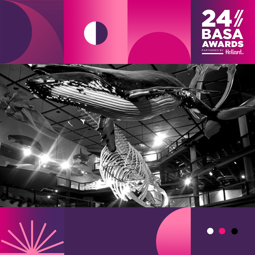 basa_news's tweet photo. The 2021 BASA Awards were shot against the backdrop of Cape Town’s @Iziko_Museums and galleries. Free museum and gallery entry and half-price for Iziko Planetarium and Digital Dome today! Watch the Awards at https://t.co/K5hfzmmFJP #ArtsRising #BASA24 #HeritageDay @hollard https://t.co/ksRf6711O8