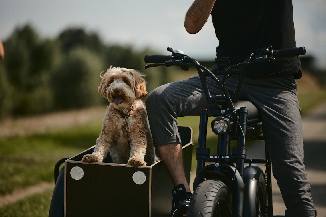 urbancycling_it's tweet photo. Phatfour e-bike Sidecar. Pratico e facile da montare. Read more: https://t.co/mMUFzj3hzE
#ebike #cargobike #phatfour #sidecar #commuterbike #cyclelife #Instabike #bikestagram #cyclingpassion #cyclinglife #lovecycling #bicyclelife #bicycleculture #urbancycling https://t.co/4khsF599Vy