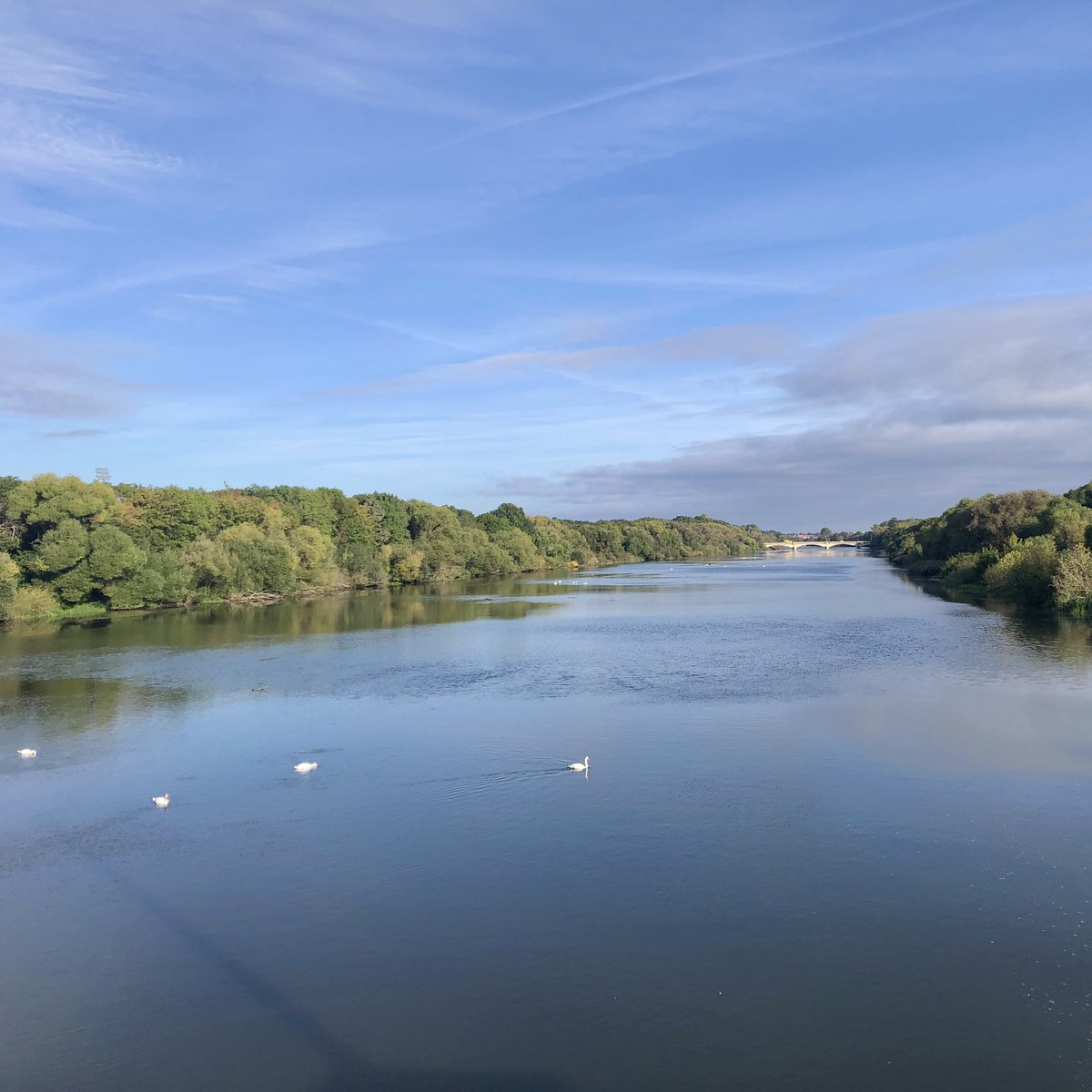 3 Dinge für die ich heute Dankbar bin:
1. Ein #ProductOwner #Coaching beginnt 🥳
2. Es ist vor Ort und in #Leipzig 😎
3. Wie so oft beginnt meine Anreise mit dem #Jakobsweg an dem wir wohnen