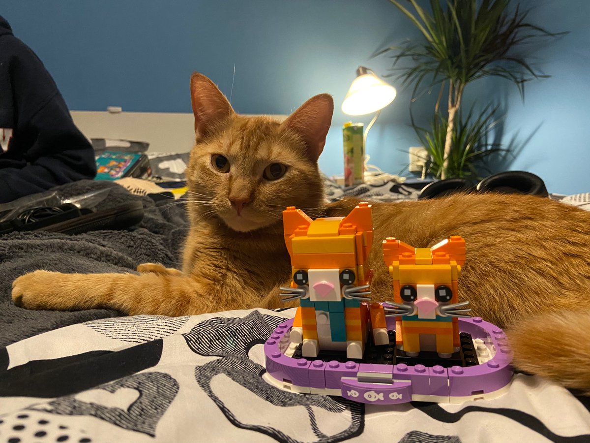 He is not impressed.