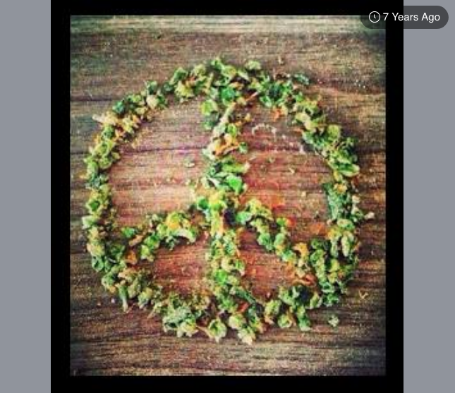 zen420dotcom's tweet photo. We all want peace. https://t.co/ryeaFuOY0I