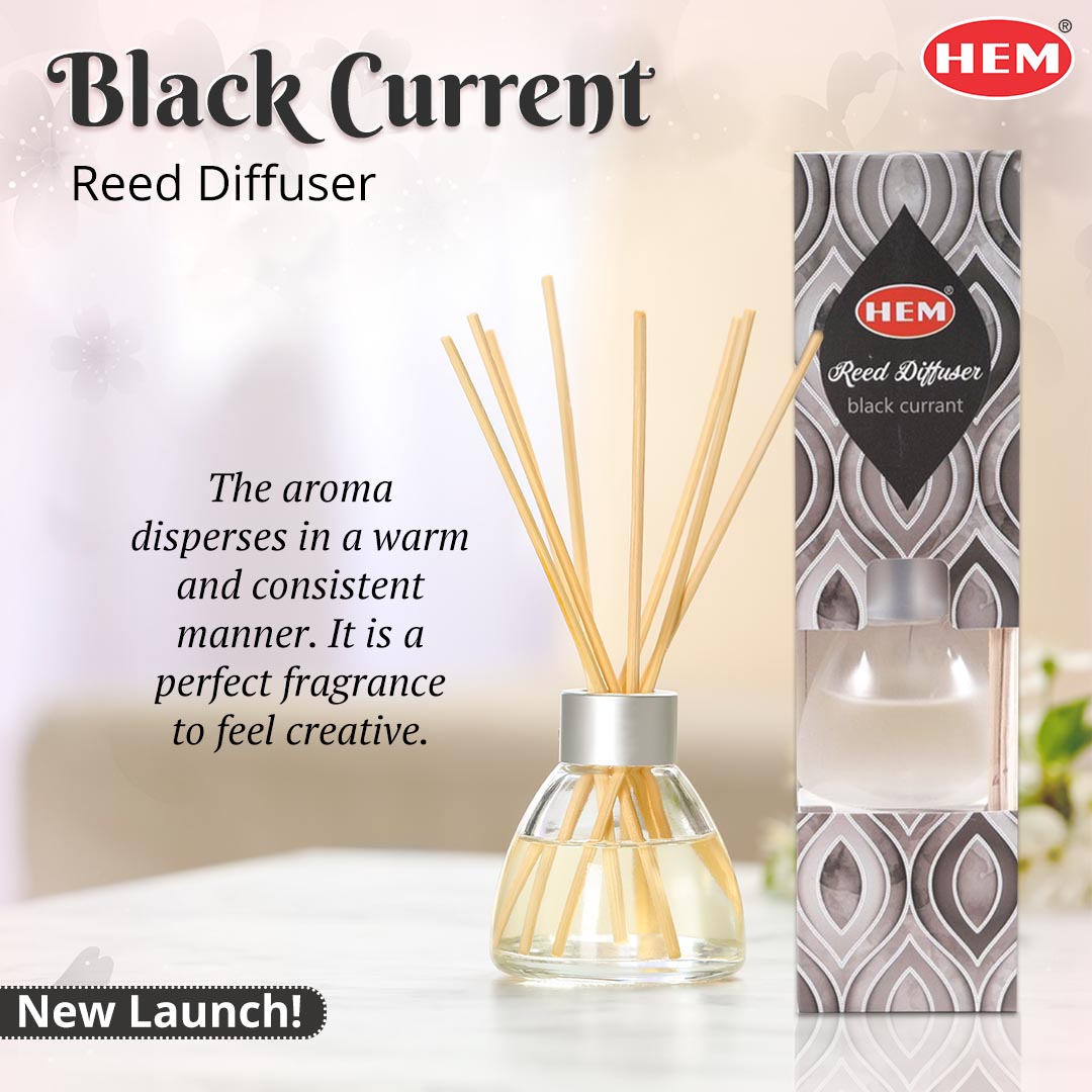 Hemagarbattii's tweet photo. HEM Black Currant Reed Diffuser gives 
the typical fruity floral blend smell. It is a 
perfect fragrance to feel creative.
Buy at : https://t.co/LBKC9uqRN8
.
.
.
#hemagarbatti #aromatherapy
#reediffuser #forestflower #reed #newlaunch https://t.co/treJmPB8QF