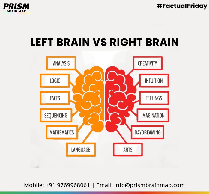 MyPRISMBrainMap's tweet image. There is also a theory that people are either left-brained or right-brained, meaning that one side of their brain is dominant.

Which type is yours?🤔
Let us know in the comments below--

#prismbrainmap #neuroscience #brainfacts #neurology #brainpower #didyouknow #anatomy #friyay