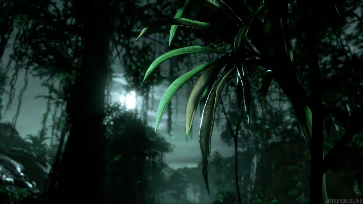 VirtuallyKirsty's tweet photo. "When night falls, we’ll talk."
~
#HorizonZeroDawn \\ @Guerrilla
~
#HZDPhotoMode #BeyondTheHorizon #PS5 #PS5Share #VirtualPhotography #VGPUnite #TheUndeadLens https://t.co/HVvgpX3qus