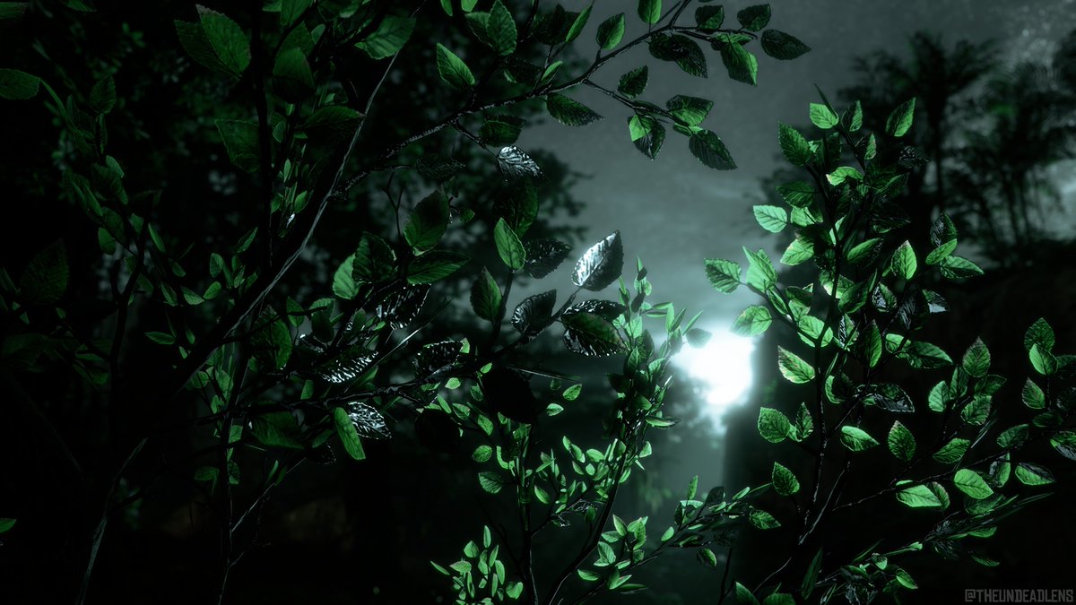 VirtuallyKirsty's tweet photo. "When night falls, we’ll talk."
~
#HorizonZeroDawn \\ @Guerrilla
~
#HZDPhotoMode #BeyondTheHorizon #PS5 #PS5Share #VirtualPhotography #VGPUnite #TheUndeadLens https://t.co/HVvgpX3qus