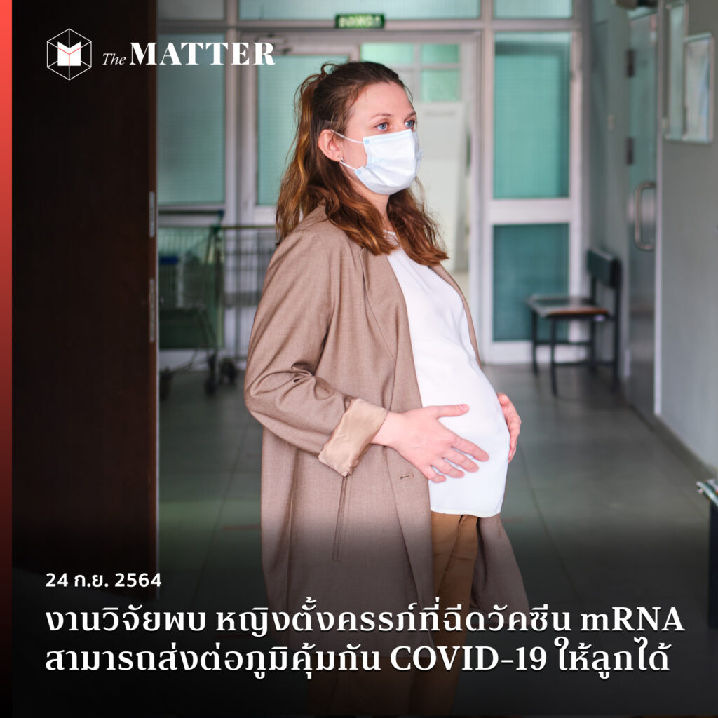 ผลการวิจัยมันออกมาแล้วว่าmRNAอ่ะดีจริง แต่อีราชวิทยาลัย มันกำลังเอาคนท้องมาทดลองฉีดซิโนฟาร์ม กูโกรธมาก!!!!!!