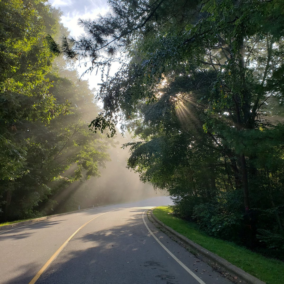 RealScottHarris's tweet photo. That extraordinary moment when fog and sunlight coexist https://t.co/GBhXO3dK5R