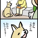 読んでいて幸せな気持ちになる･･･!お散歩をしていたときのほっこりエピソード!