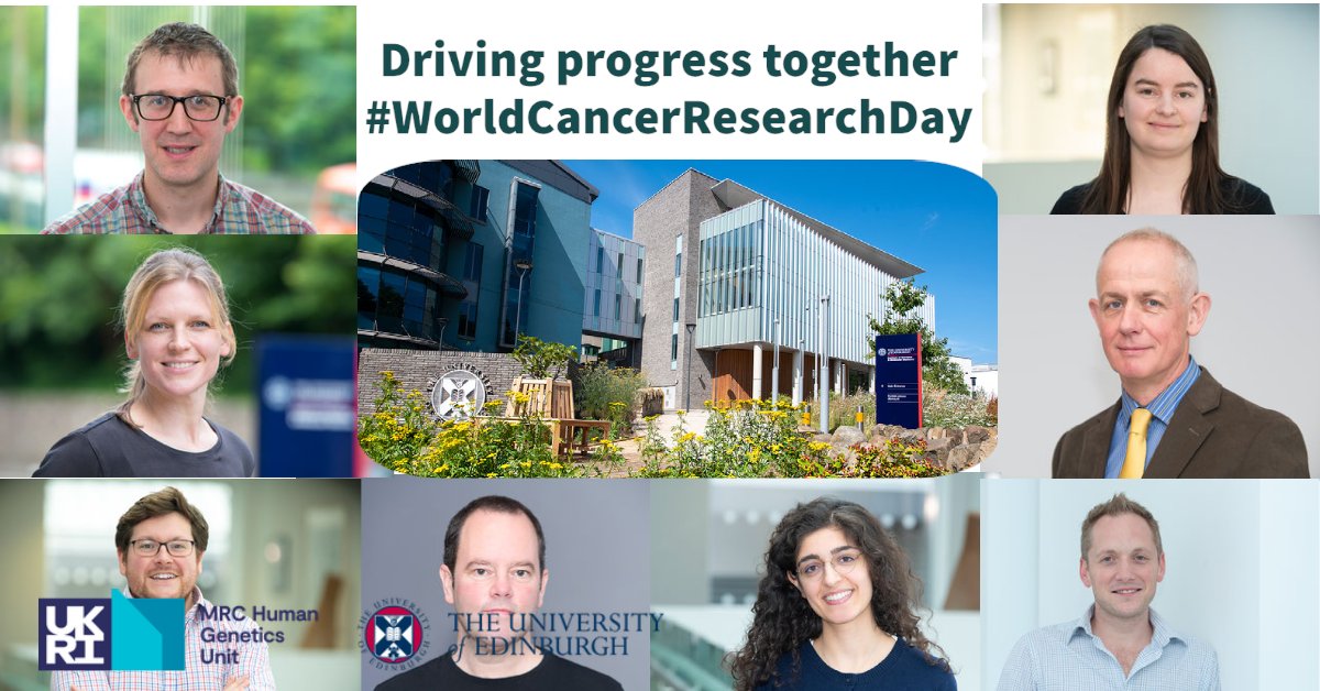 mrc_hgu's tweet photo. Sharing space, scientists and clinical collaborations within @EdinUniIGC with a dedicated cancer research centre @EdinCRC  really boosts our cancer-focused research.#WorldCancerResearchDay #DrivingProgressTogether https://t.co/T1AeqXpxMp