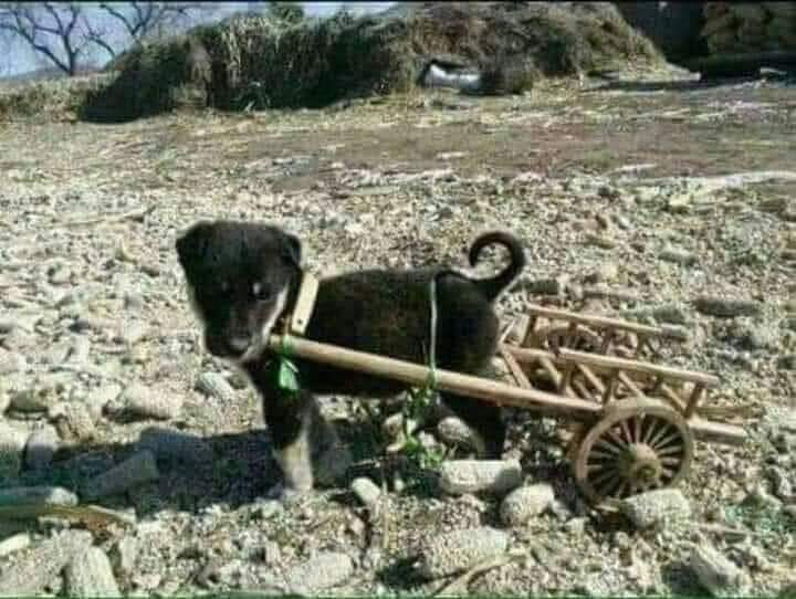 .авсаархан юм