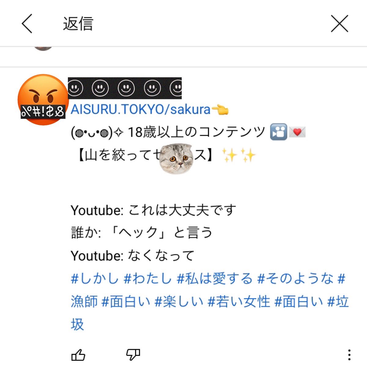 あどりん Youtubeでよく見るスパムコメント よく見るとめっちゃ面白い T Co Zp1teikru4 Twitter