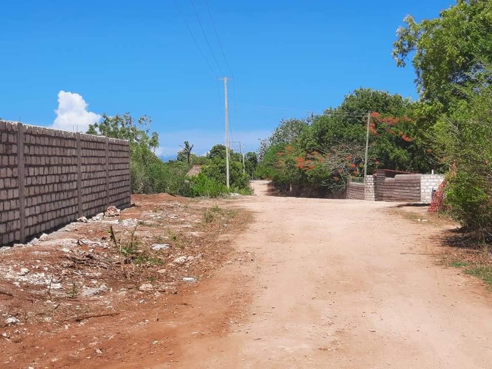 Property2Genius's tweet photo. 2ND ROW BEACH PLOTS KILIFI WITH READY FREEHOLD TITLES. Contact the seller via this link https://t.co/iufzv03jvV
BREAKING NEWS 
#UoNgraduation 
#NewsGang  #MainaAndKingangi  DJ Evolve https://t.co/GPzJqtUTeT