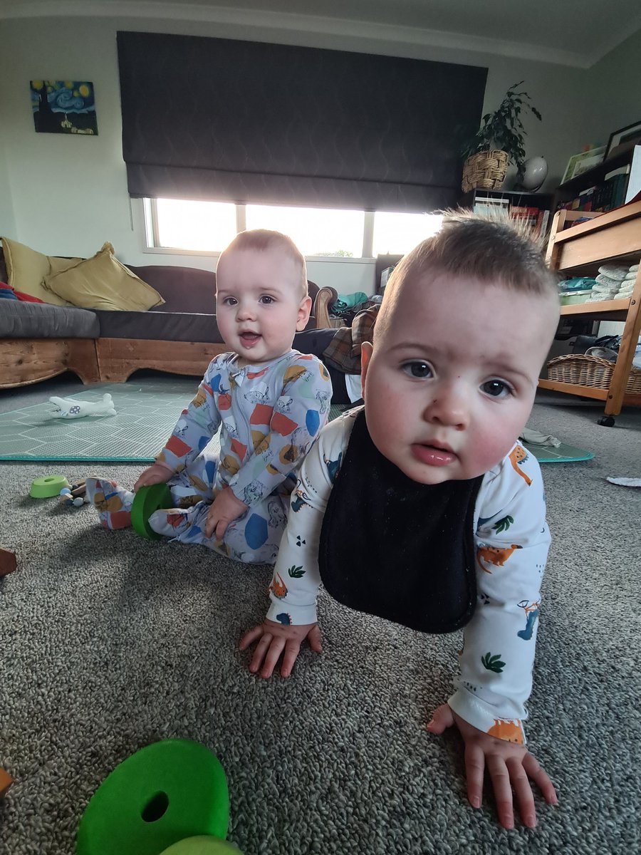 Shelley Dew-Hopkins tweet media