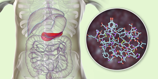 AboyneScience's tweet photo. #OnThisDayInScience 1855
The discovery of glycogen stored in the liver was communicated to the Académie des Sciences by Claude Bernard, a French physiologist

Glycogen is the storage form of glucose &amp; can be readily converted into glucose when needed in the body to release energy https://t.co/kJ9CGIamgk
