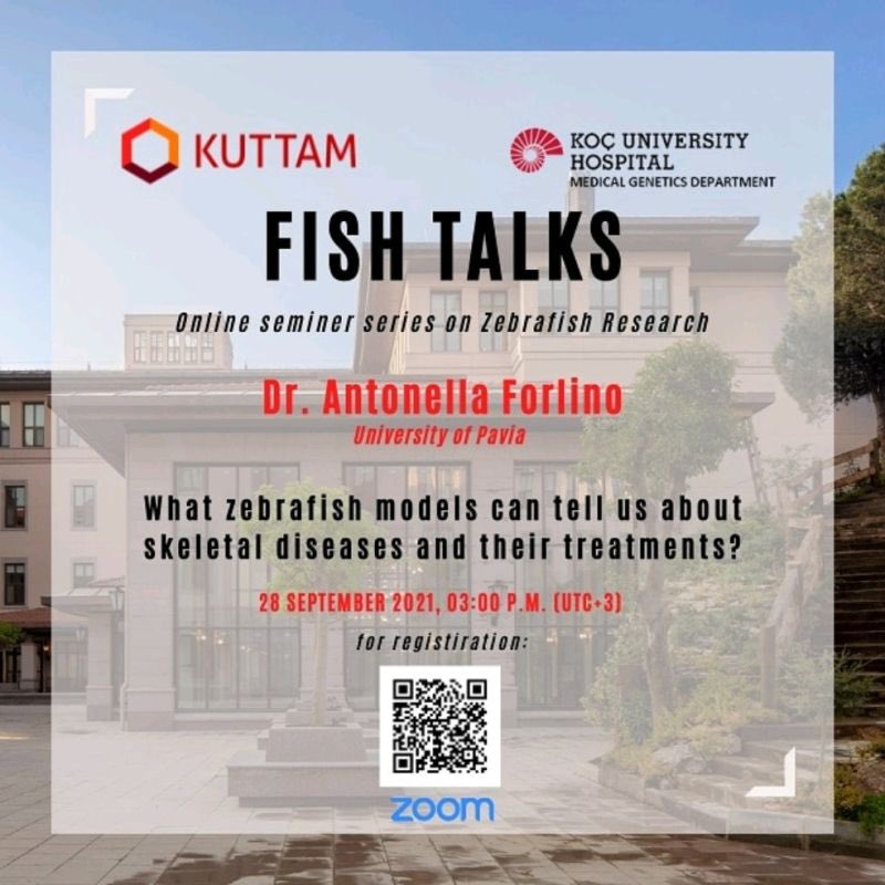 gaattagca's tweet photo. I am honored to invite you all to our webinar called as #fishtalks. Dr. @aforlino, whose works inspires me most, will be with us 🥳 28 September, 15:00 (utc+3, Istanbul time). Looking forward to meet #zebrafish colleagues in this free webinar. Hurry up and take your spot ✌🏻 https://t.co/QLq8ThSDBf