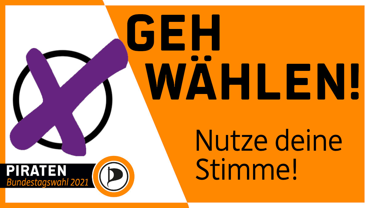 Hier sieht man auf der linken Seite ein angekreutztes Kästchen, das an das Kästchen zum Ankreuzen auf einem Wahlzettel erinnert. Auf der rechten Seite des Bildes steht: Geh wählen! Nutze deine Stimme!