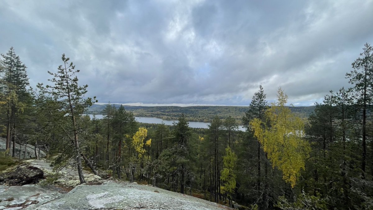 juhanie's tweet photo. Aamupäiväretkellä Jauhovaaran huipulla. #Herajärvenkierros #Koli #ruskaretki https://t.co/kyykFzYF2h