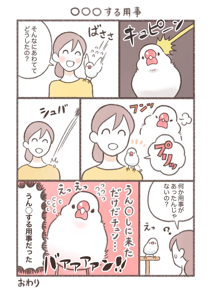 マンガ「○○○する用事」

#文鳥 #漫画が読めるハッシュタグ 