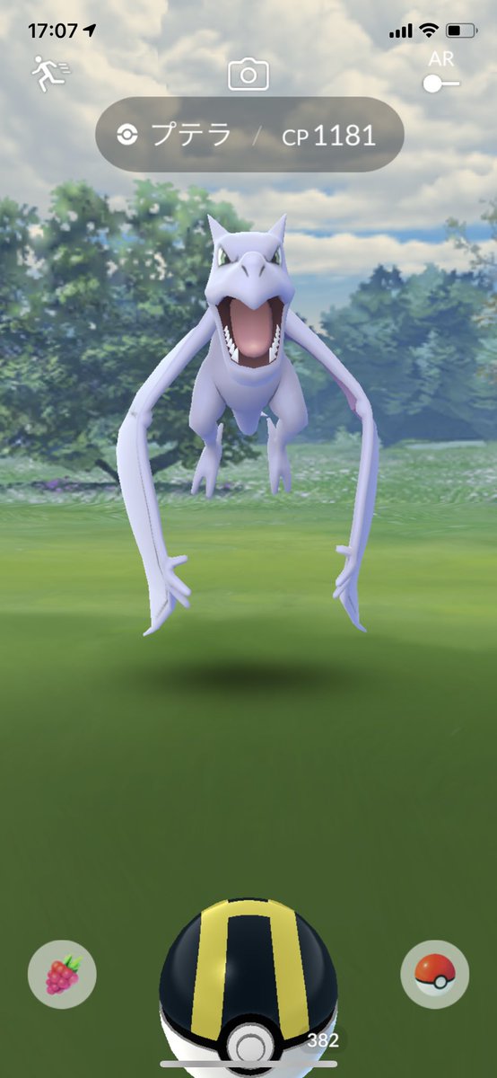 ケローネ Kelone Flog Twitter