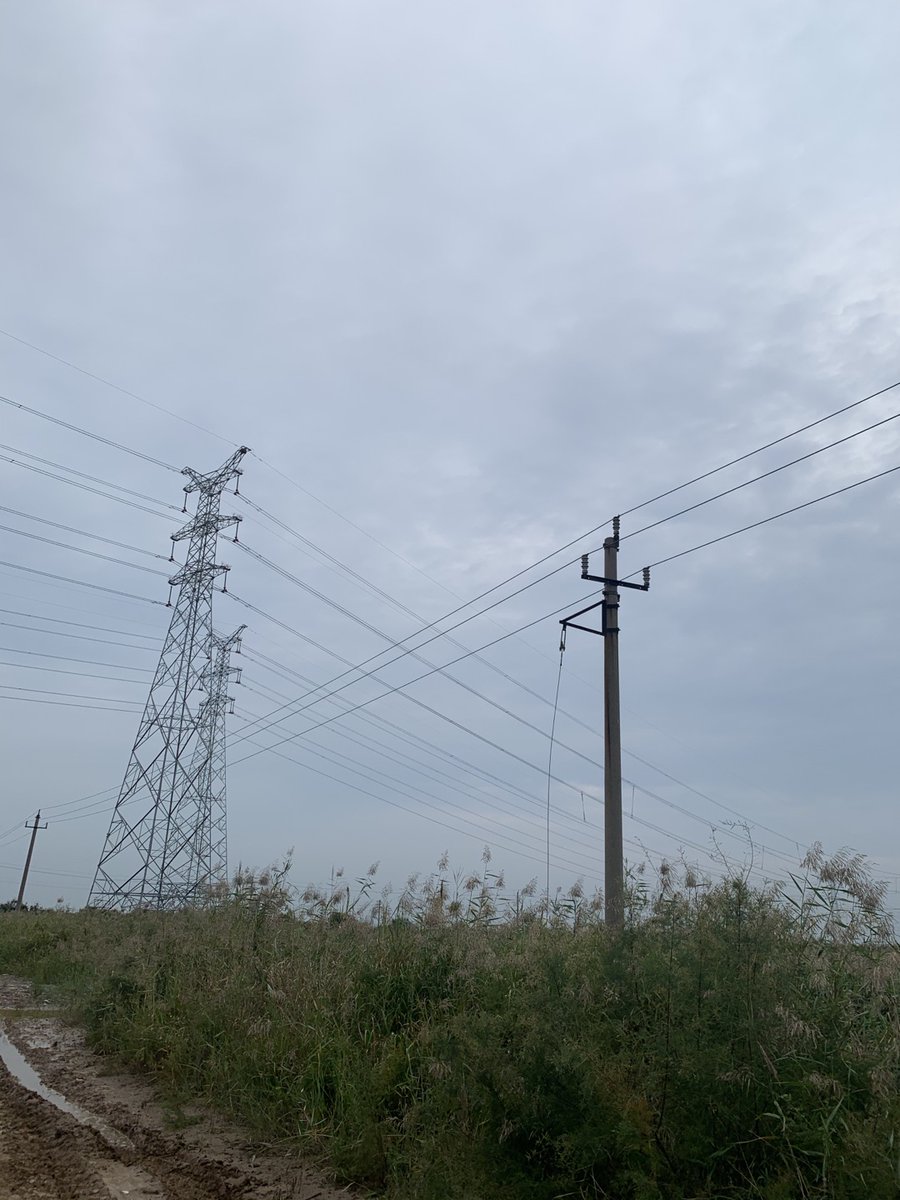 WAOSD_2408's tweet photo. #BirdsFriendly #Electricity Supply: CBCGDF Team on Field Study in Dongying, Shandong Prov. #China.
*Find threat factors of local #birds affected by the power system;
*Protect birds and other wild animals while ensuring power safety.
#ForNature #ForBirds https://t.co/A1wPDibbQT