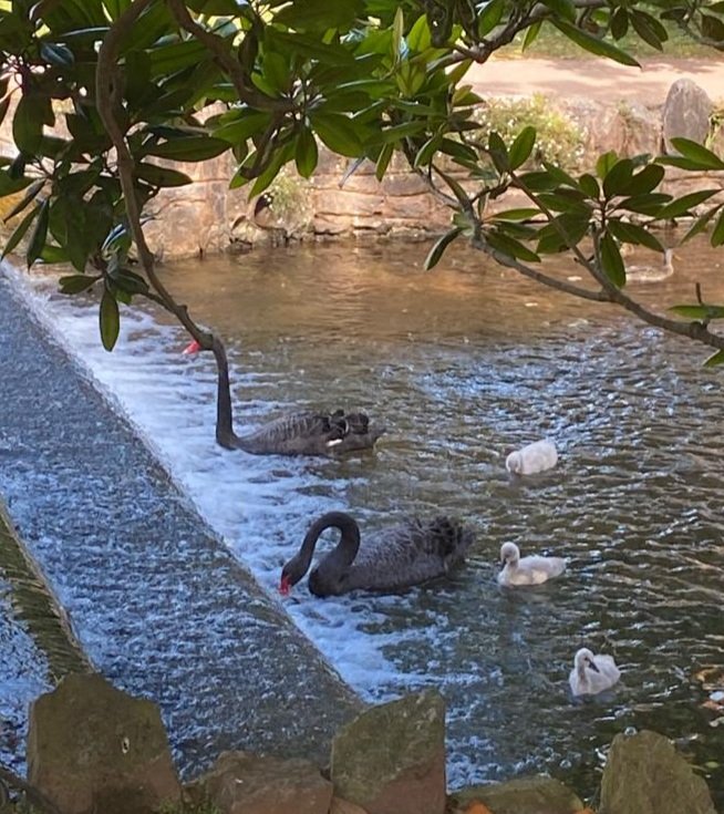 The Property Hub tweet media