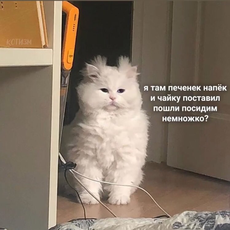 m_fetis's tweet photo. Мальчики что мешает вам быть такими? https://t.co/F7FYoeQUyK