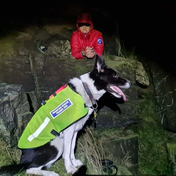 Mountain Rescue Search Dogs England tweet media