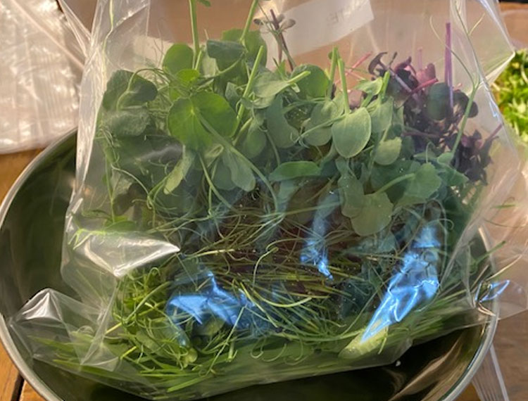 welshfooddrink's tweet photo. Vertical Farming Comes to the Classroom
https://t.co/aPzbGtI8As
#verticalfarming #agritech #agritechnology #techtyfu #farming #farminglife #farminguk #welshfoodanddrink #foodanddrinkwales https://t.co/KMd0Ng8BFy