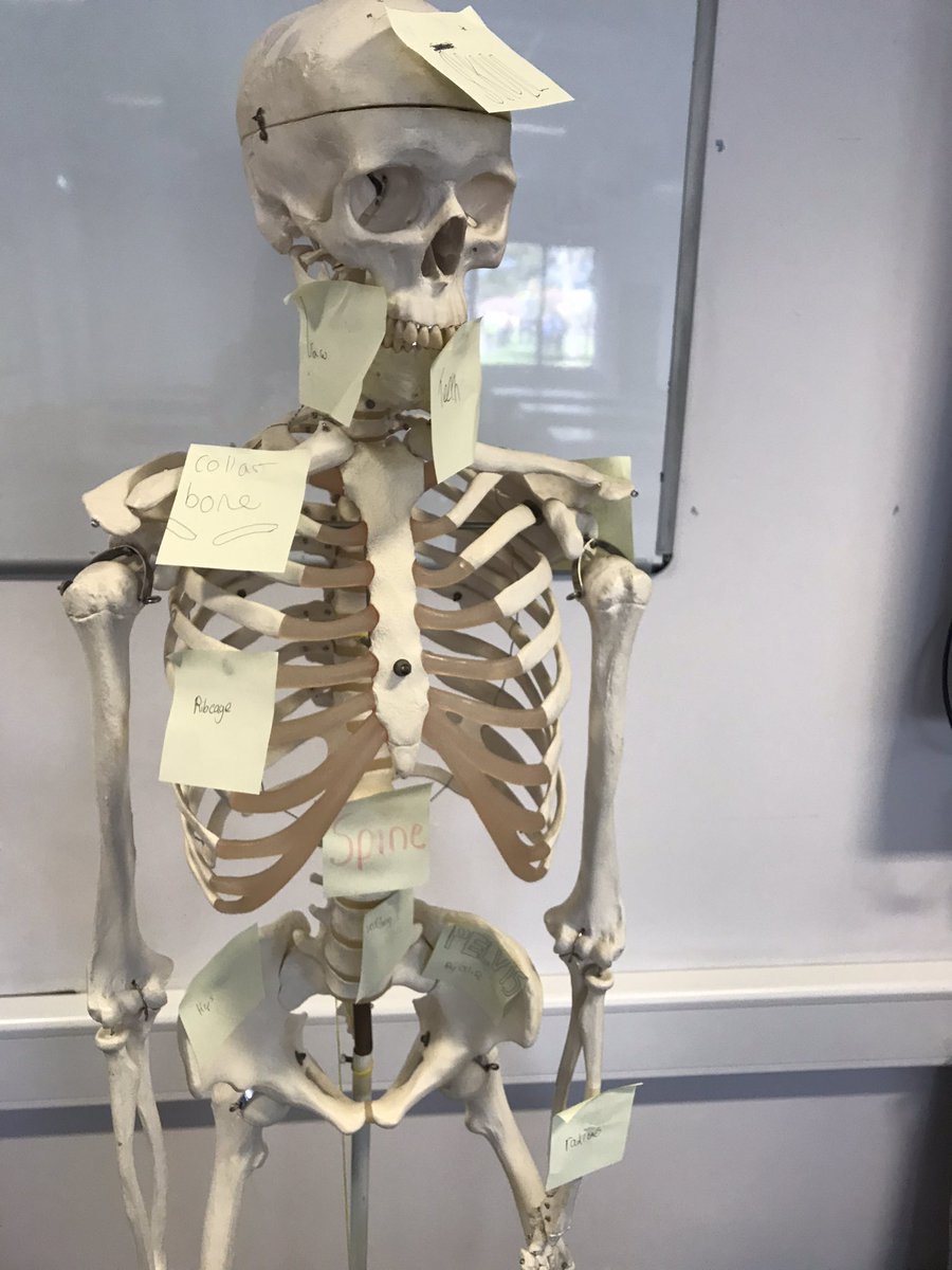 TLA Science Faculty tweet media