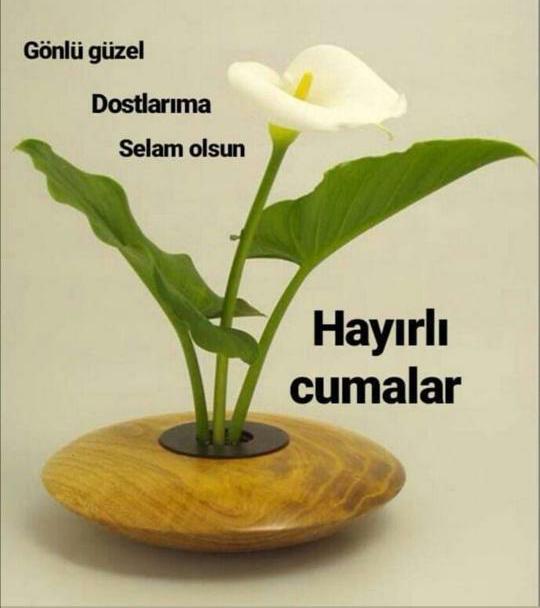 NurcanTaar3's tweet photo. @NHTBHR_5379 Aleykimselam  canim https://t.co/m62ZlzJcRQ