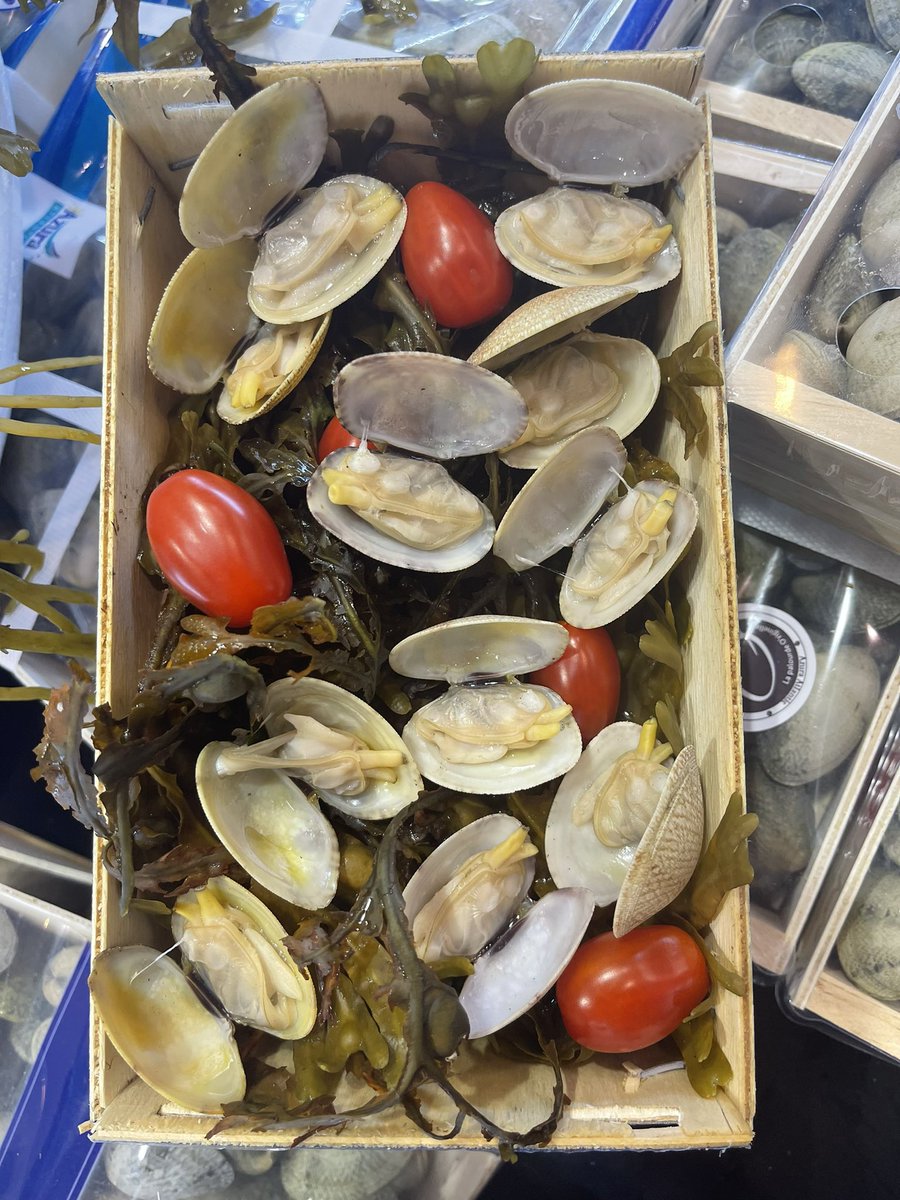 AzuraAtlantic's tweet photo. Une nouvelle journée commence sur le @sirha_lyon 
Les dégustations peuvent commencer👨‍🍳 #food #Sea #Chefs #Atlantic https://t.co/z7spYOEKPO