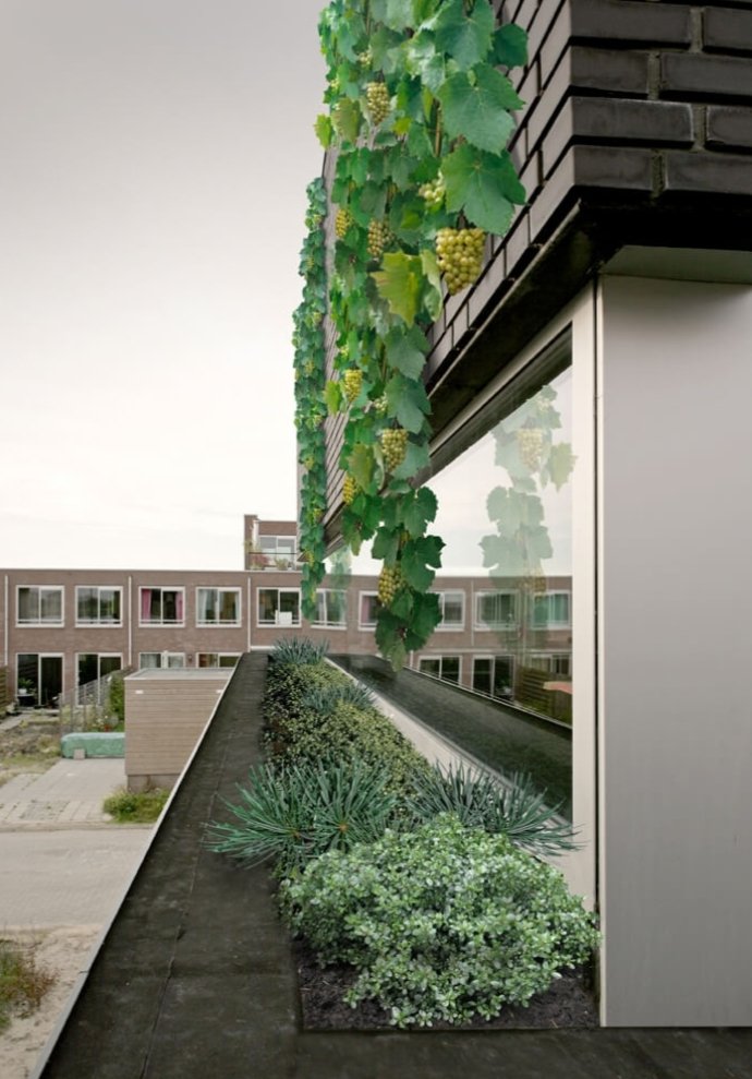 BwOyaro's tweet photo. House like Garden by Marc Koehler
#Gardens
#FloraFauna 
#StreetConnection https://t.co/33UIbzkBBs